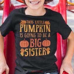 Sibling Pregnancy AnnouncemenT T Shirt Cute Fall Family Matching Baby Reveal for Big Sister Brother Thanksgiving Halloween