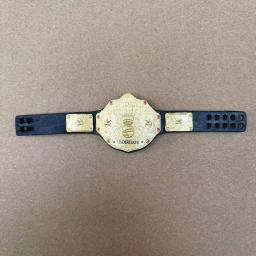 1pcs Decoration DIY 6'' WWE AEW Wrestler Doll Accessory World Championship Part Gold Belt for Doll Action Figure Non-rotatable